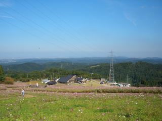 CIMG5138.jpg