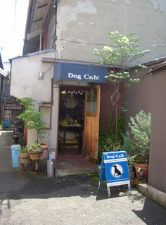 DOGCAFE01.jpg